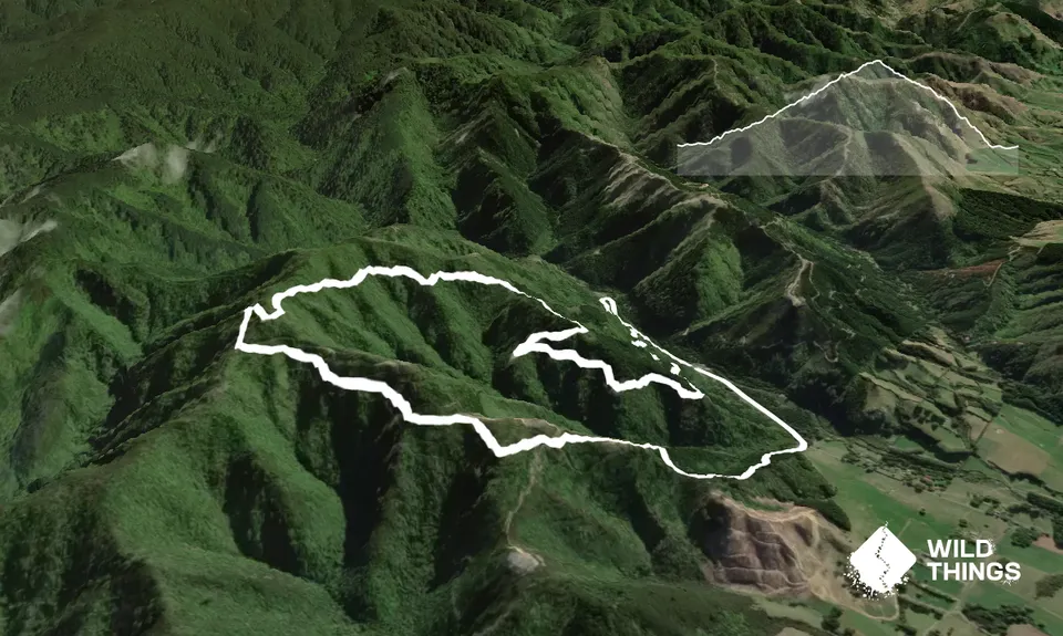 Mt Dick Loop, Wellington