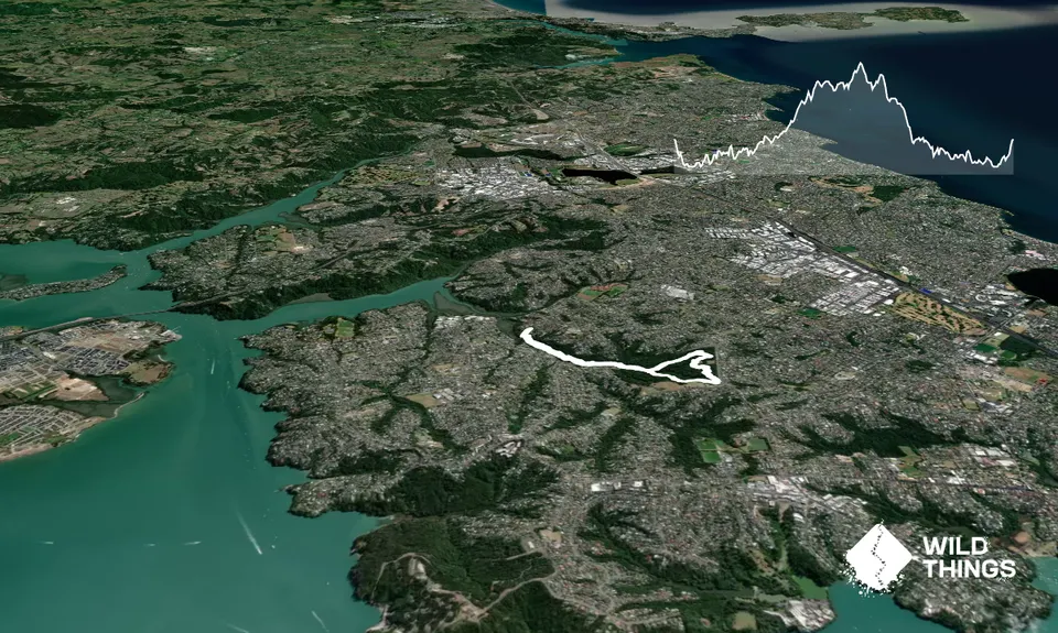 Eskdale Outer Loopypop, Auckland
