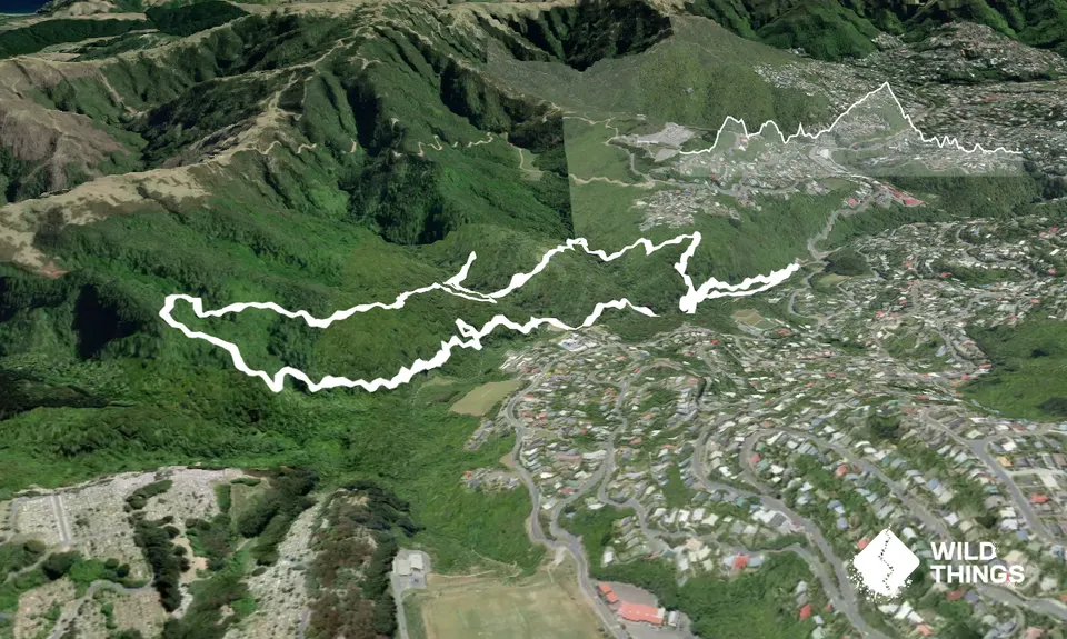 Otari-Wilton's Bush Loop, Wellington
