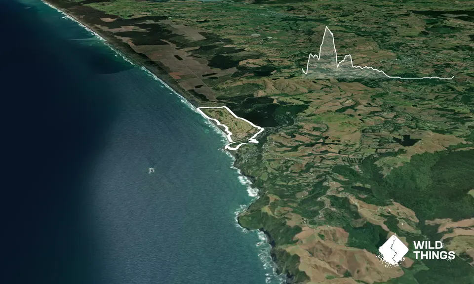 Muriwai Beach and Trail, Auckland