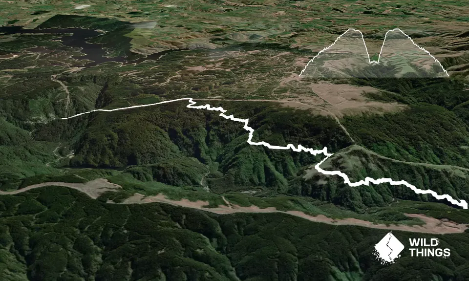 Waipori Falls Government Track, Otago