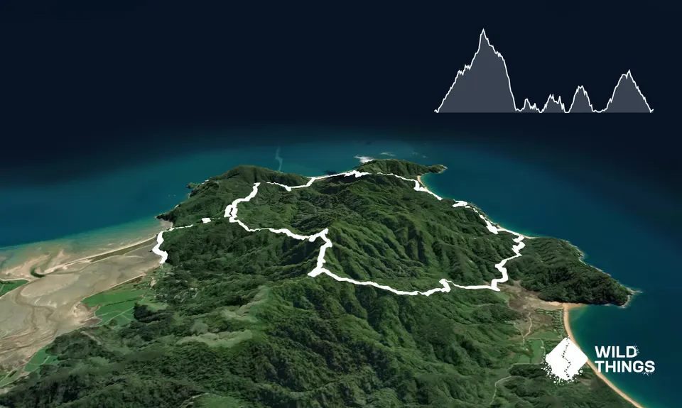 Gibbs Hill Loop, Tasman