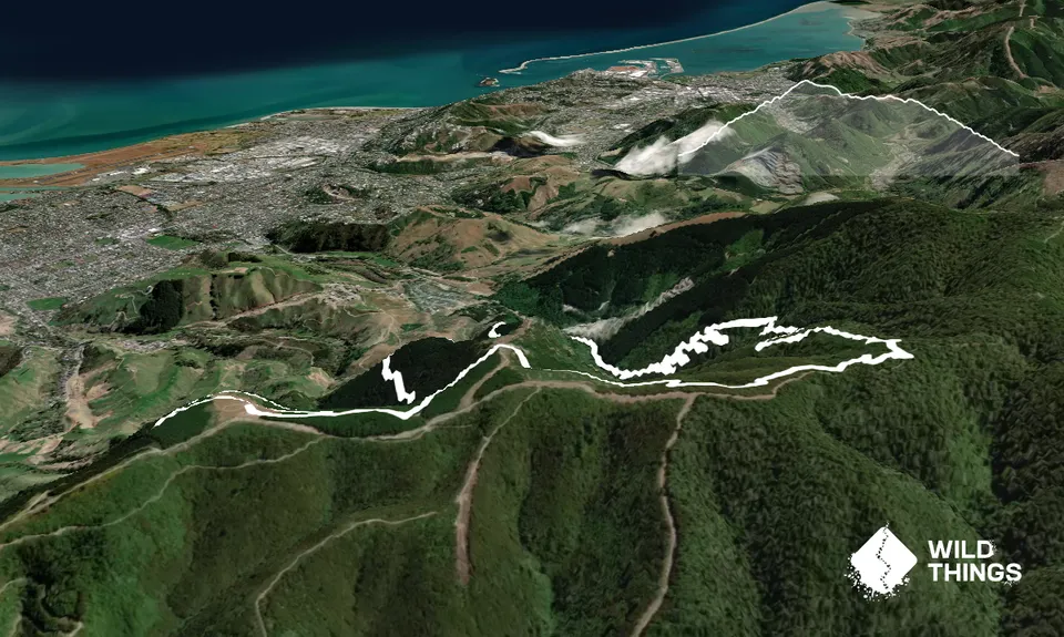 Involution Loop, Nelson