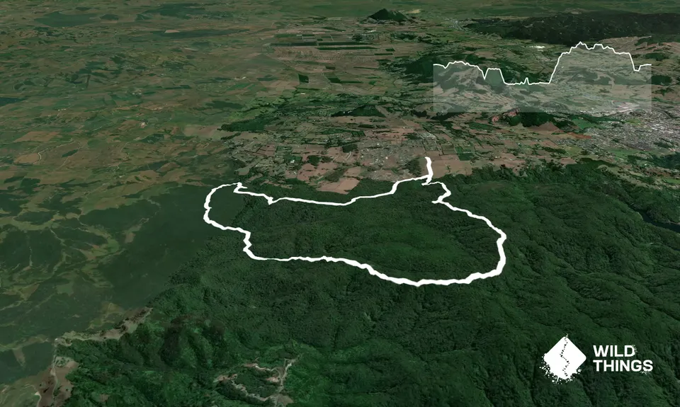 Taraire Ridge and Pukenui Loop, Northland