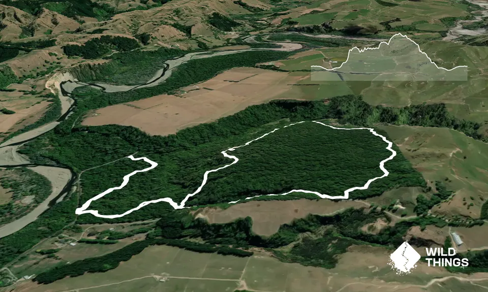 Fern Loop, Manawatu - Wanganui