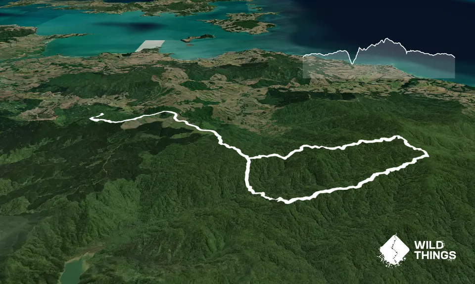 Kohukohunui Connection, Auckland