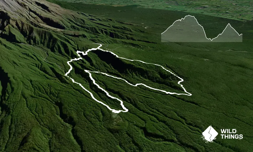 Wilkie and The Enchanted Ridge, Taranaki