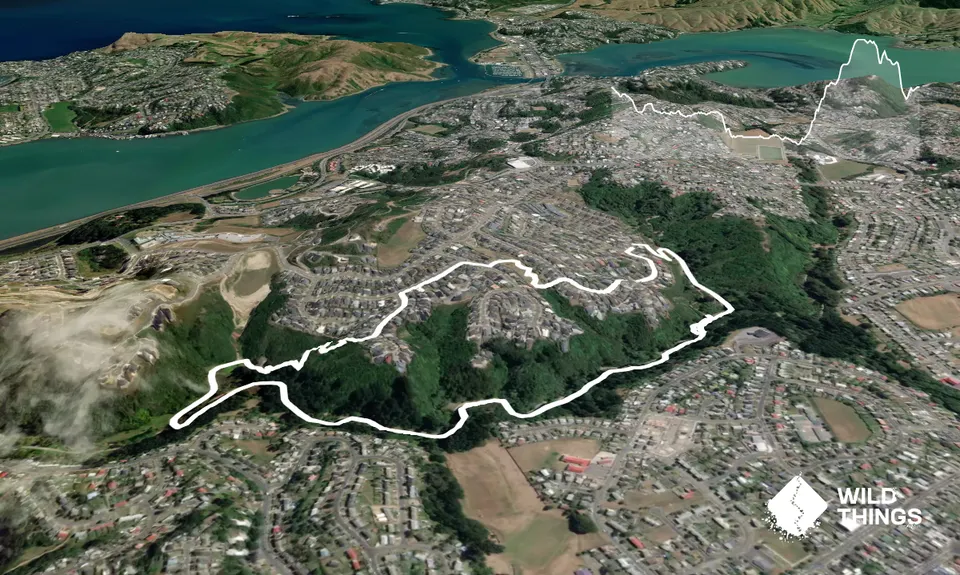 Not My Fault, Wellington
