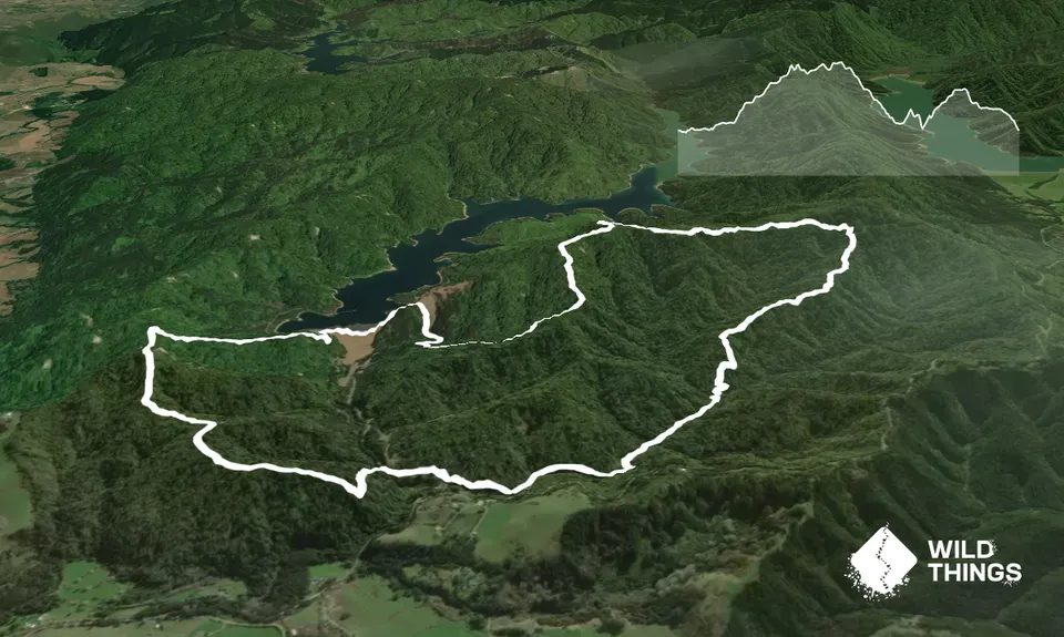 Wairoa Suspension Loop, Auckland