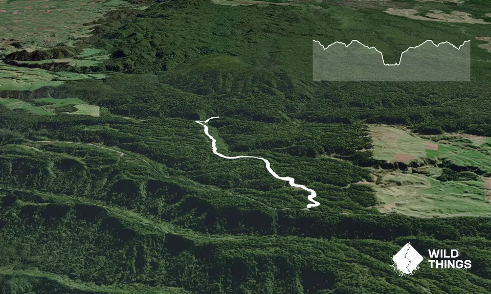 Woods Mill Track, Waikato