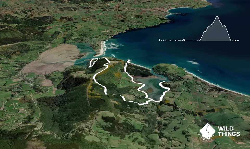Purakaunui Beach Loop, Otago