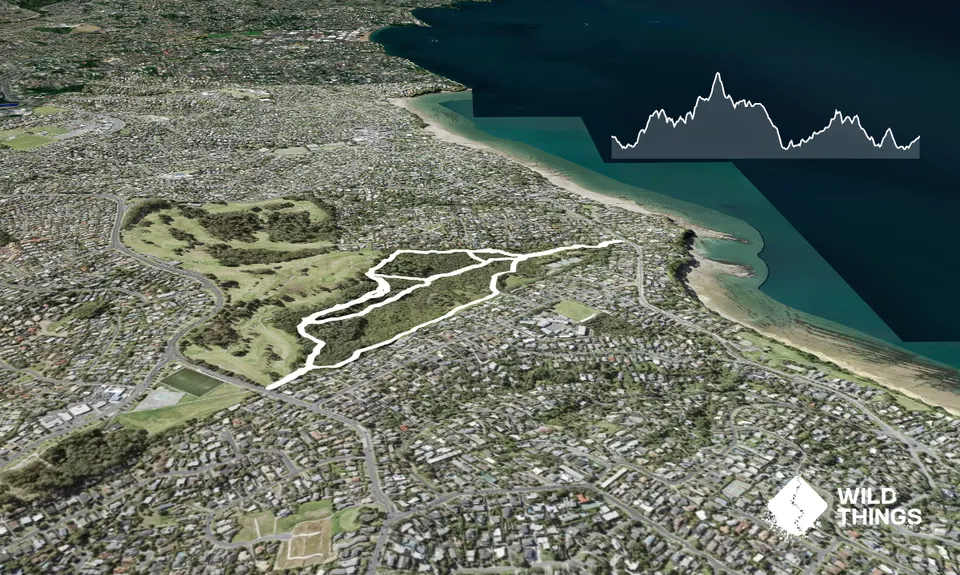 Centennial Park trails (Campbells Bay), Auckland