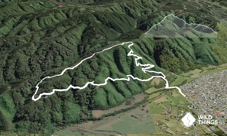Cannon Point Trig via Zig Zag, Wellington