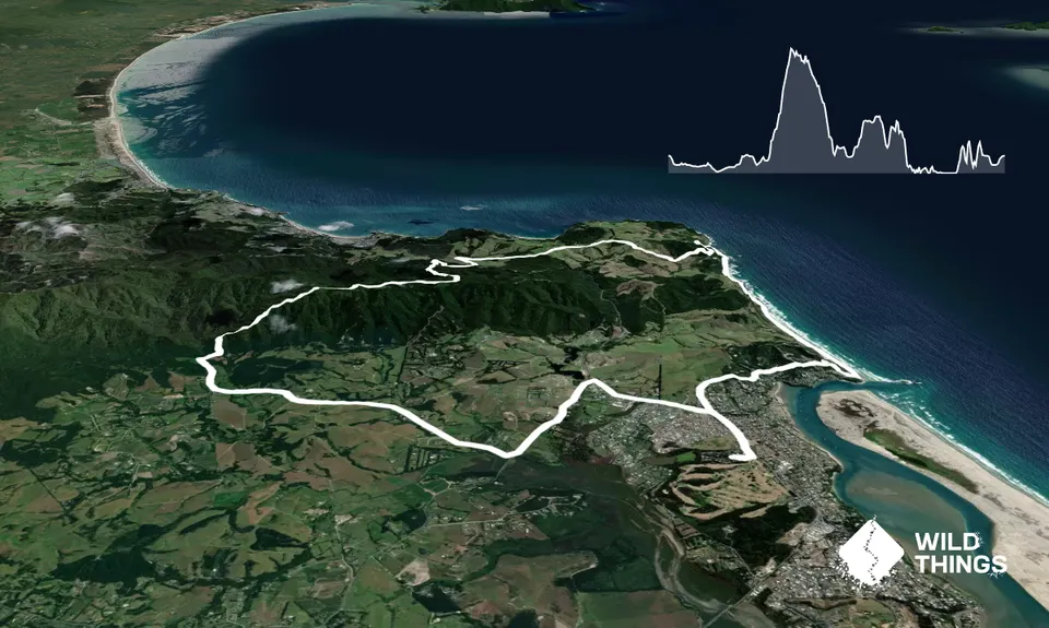 Mangawhai Heads Snarler, Northland