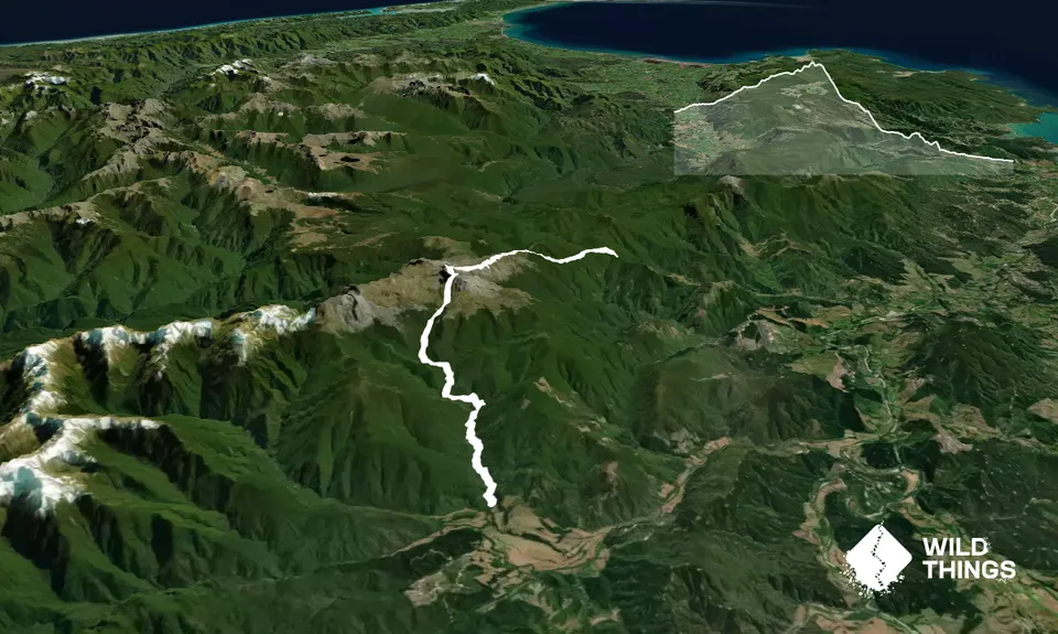The Ellis, Tasman