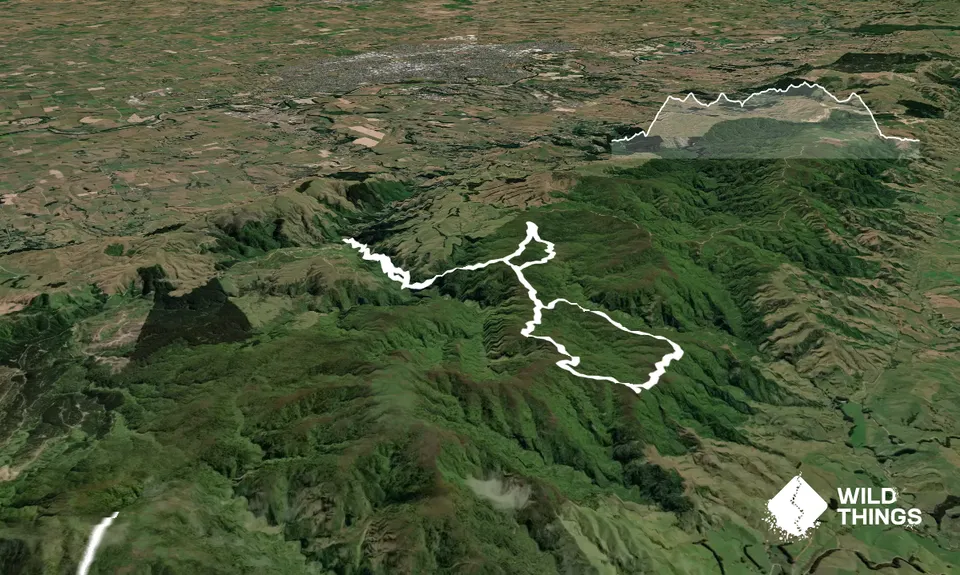Sledge Track with Toetoe Loop & Otangane Loop, Manawatu - Wanganui