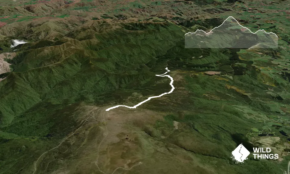 Swampy Ridge Track, Otago
