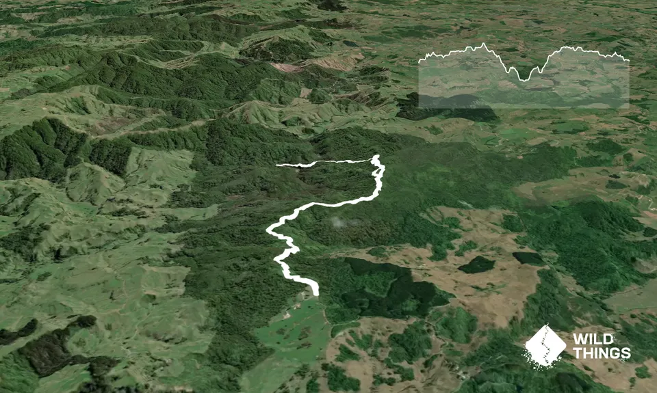 Ngatapuwae , Waikato