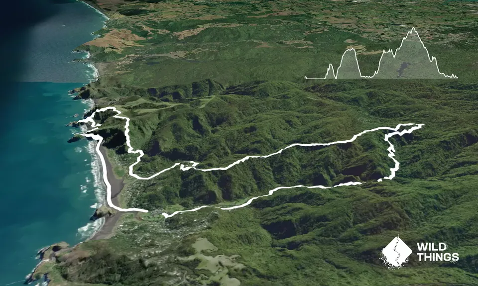 Piha Surf & Bush, Auckland