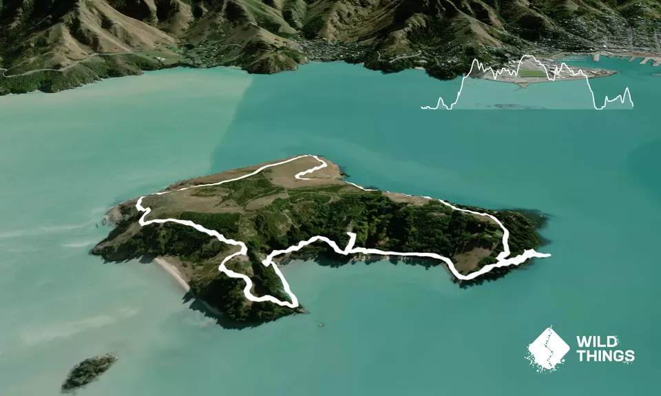 Quail Island Looping, Canterbury