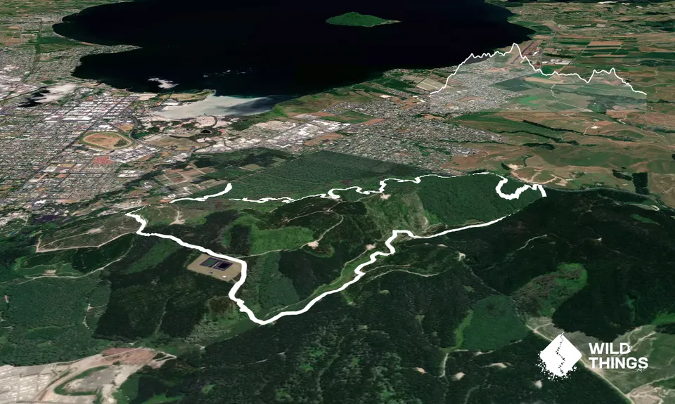 Tokorangi Pa Track, Bay of Plenty