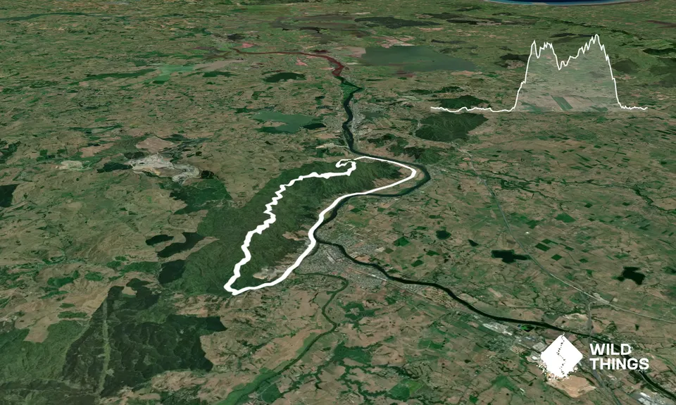 Hakarimata N-S Full Trail Loop , Waikato