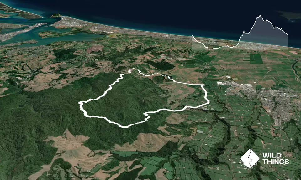 Otawa Lodge & Otawa Trig Loop, Bay of Plenty