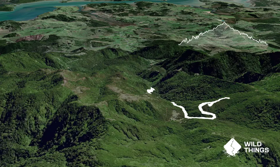 6 Foot Track - NZ Style, Northland