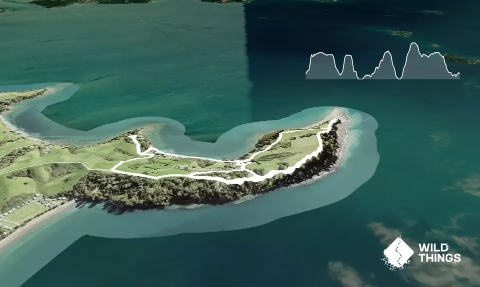 All the Trails at Scandrett, Auckland