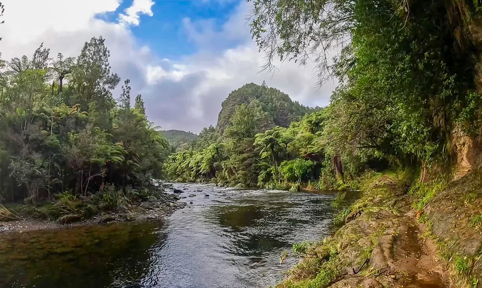 Waitawheta Tramway - Bogeys and Bluffs, Waikato