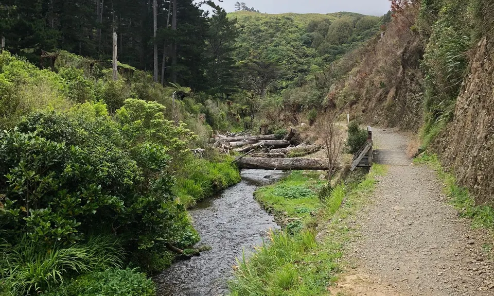 Belmont Bash , Wellington