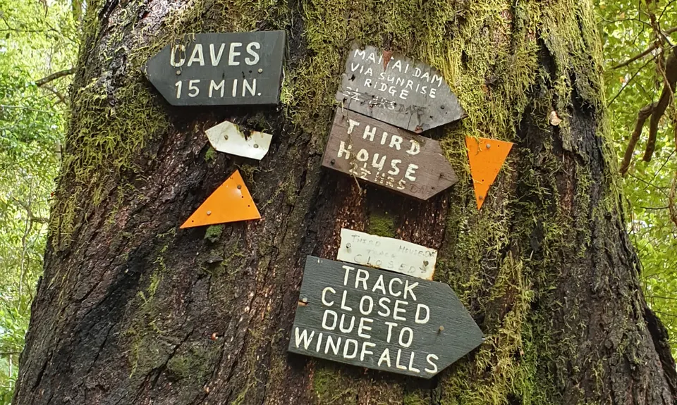 Maitai Cave Track, Nelson