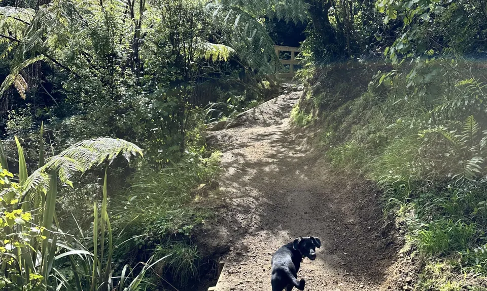 Trelissick Park, Wellington