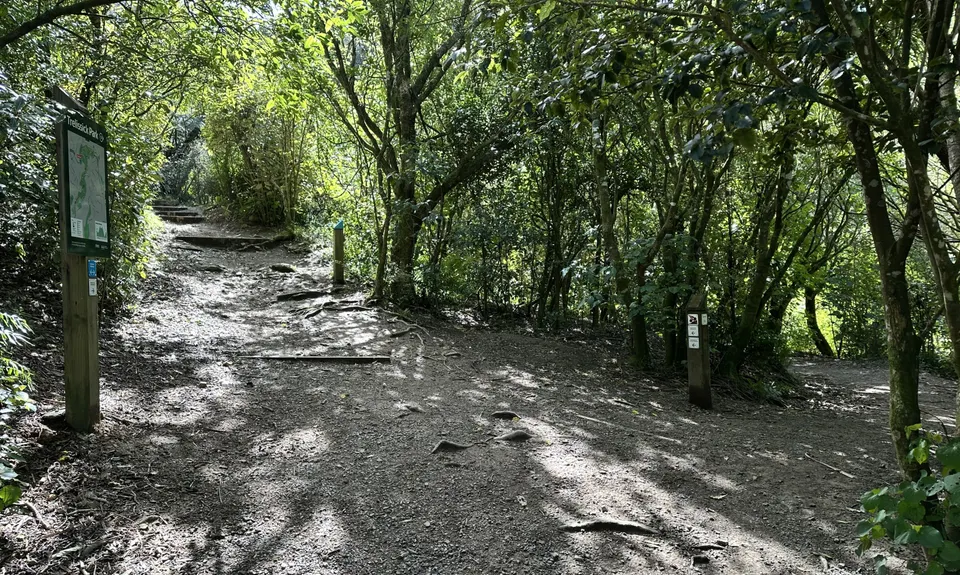 Trelissick Park, Wellington