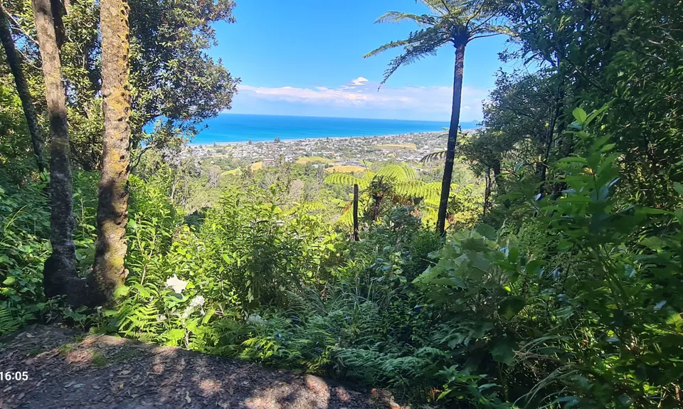 Waihi Beach Trig and Forest Loop, Bay of Plenty