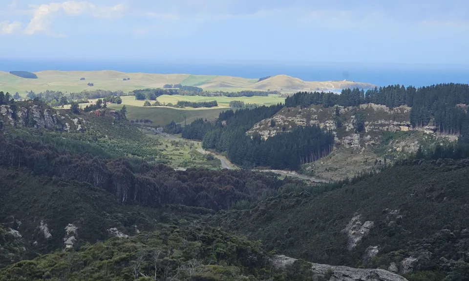Trotters Trot, Otago