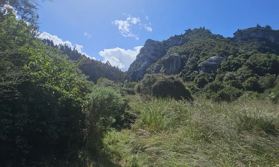 Trotters Trot, Otago
