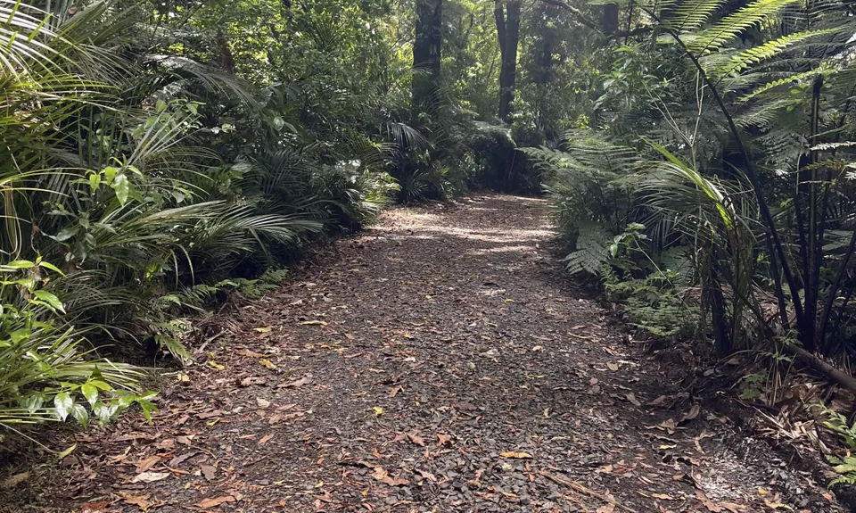 Tuhuanui half (ish), Waikato