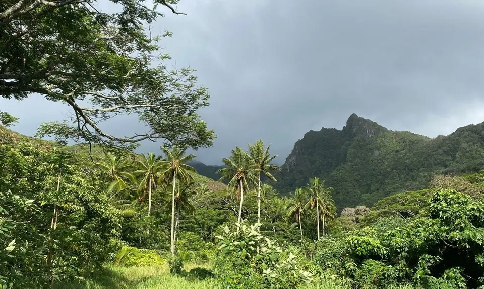 Turangi Valley, Cook Islands