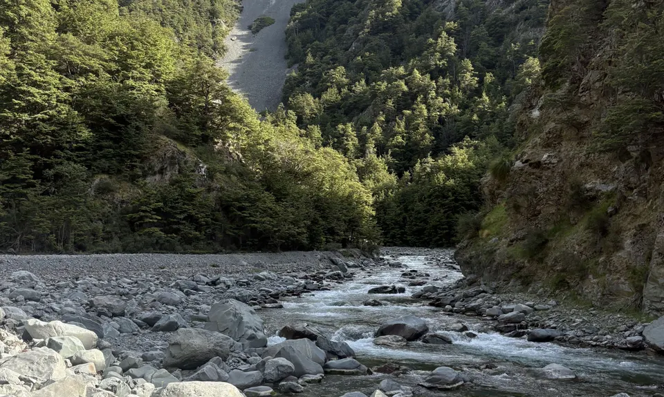 Two Thumb Track, Rangitata to Round Hill Ski-field., Canterbury