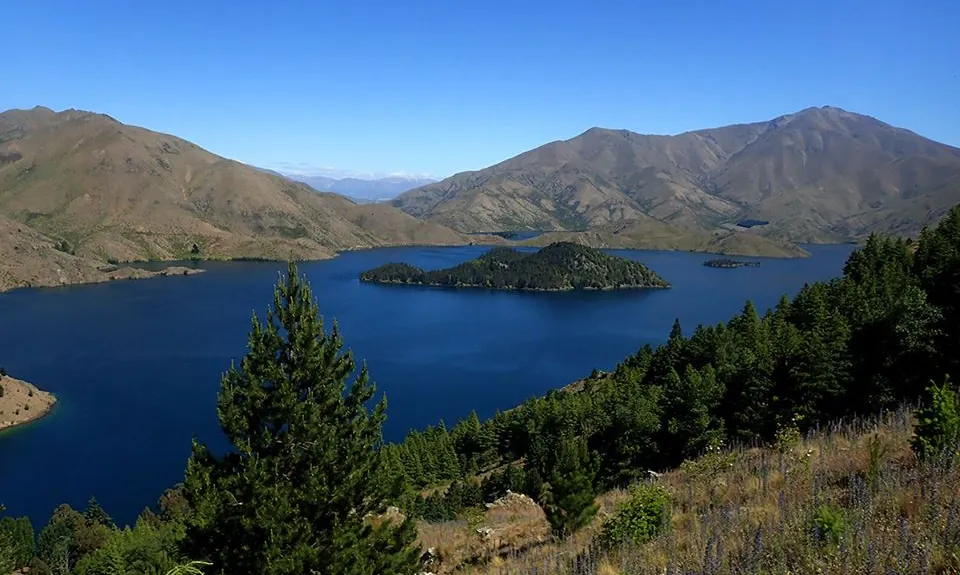 Benmore Peninsula Track , Otago