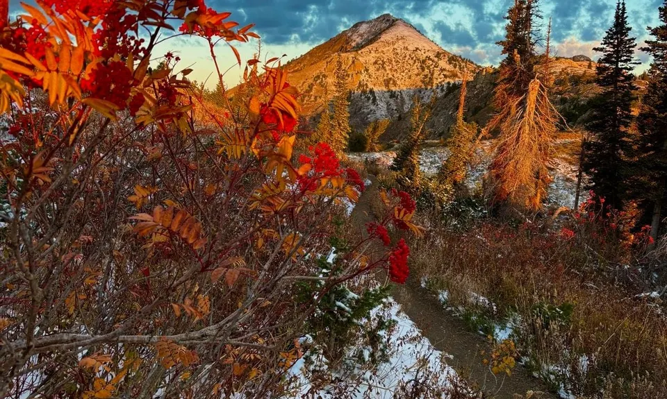 Ben Lomond