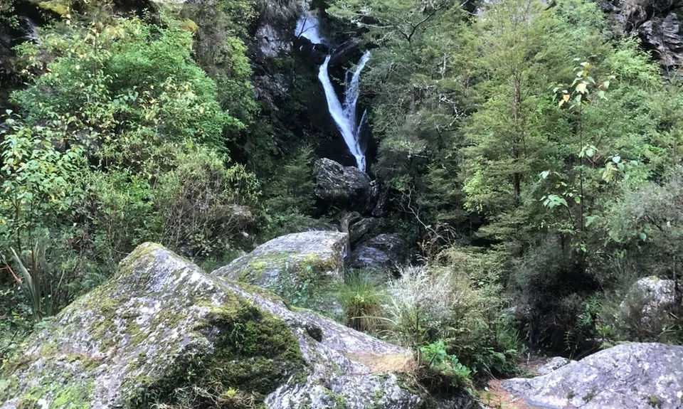 Waipori Falls Government Track, Otago