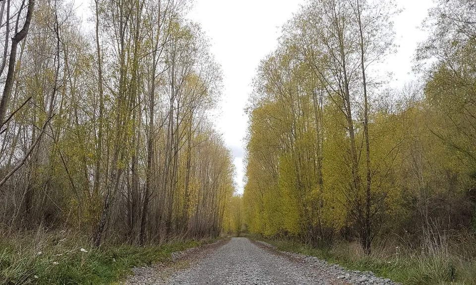 Waimak River Run - Part 1 , Canterbury