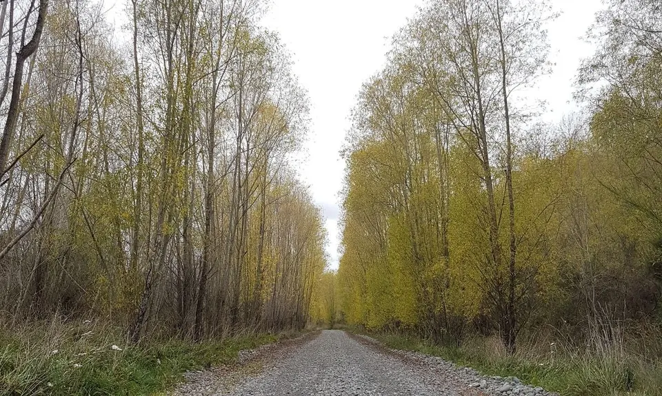 Waimak River Run - Part 1 , Canterbury