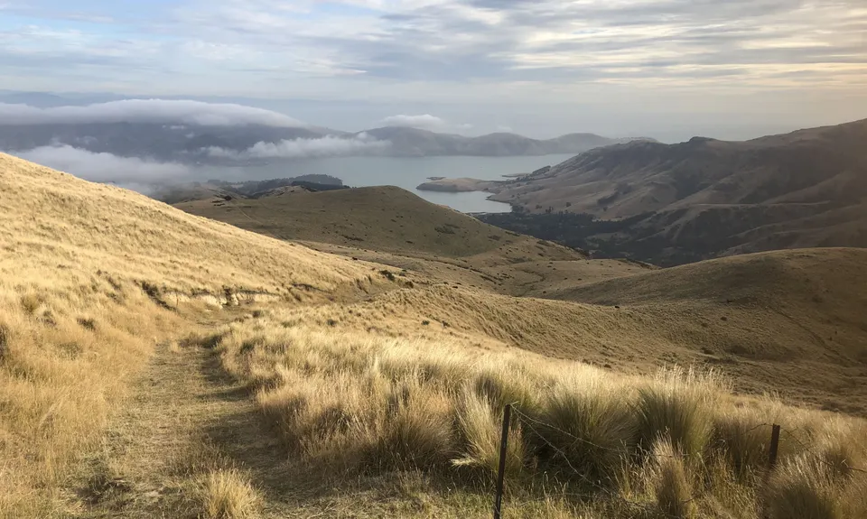 Mount Herbert/Te Ahu Patiki