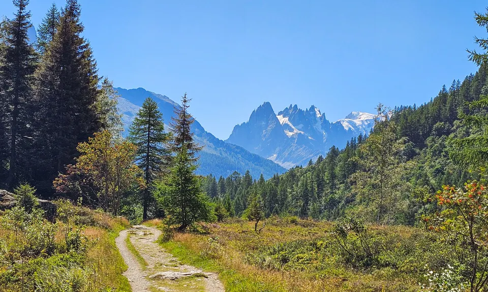 UTMB last dance: Vallorcine > Chamonix, France