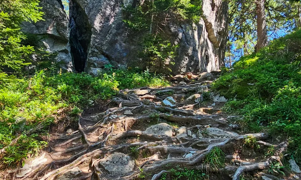 UTMB last dance: Vallorcine > Chamonix, France