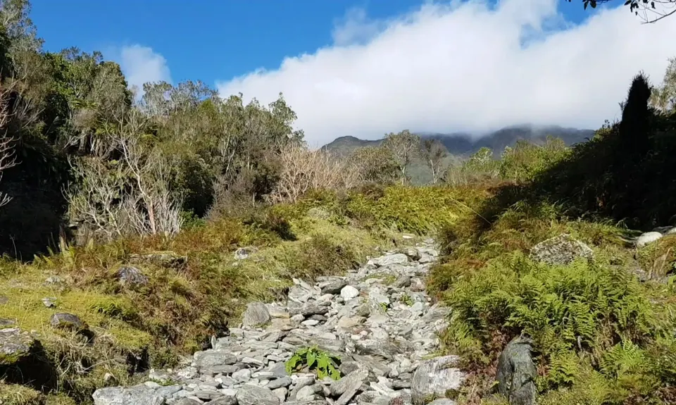 Milltown to Lower Arahura Hut , West Coast
