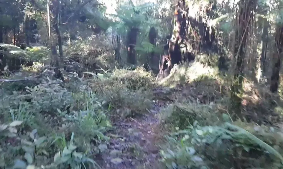 Milltown to Lower Arahura Hut , West Coast